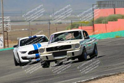 media/May-07-2022-Cobra Owners Club of America (Sat) [[e681d2ddb7]]/White/Session 1 (Turn 4)/